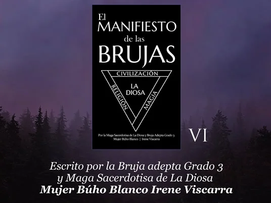 El Manifiesto de las Brujas en la biblioteca de libros esotéricos de argentina